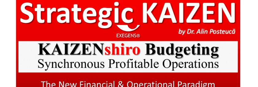 Strategic Kaizen KaizenShiro Budgeting